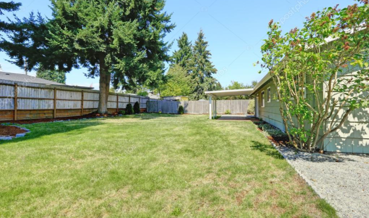 Evaluating a backyard site before pool construction